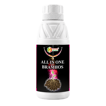 Picture of ALL IN ONE BRAMHOS