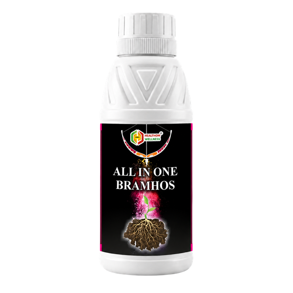 Picture of ALL IN ONE BRAMHOS